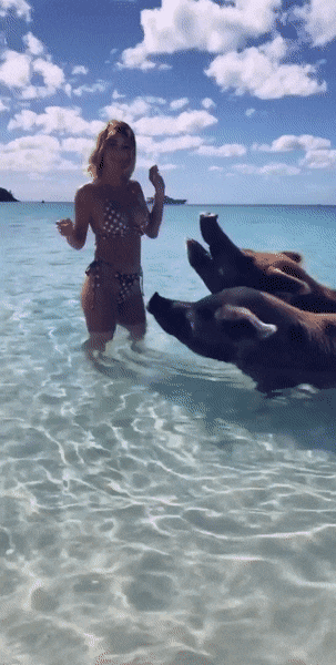 Sara Underwood Nude & Sexy (39 Pics + GIFs & Video)
