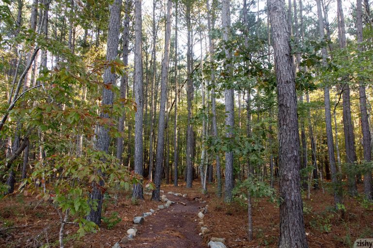 Fawn Richfield Fortunate Daughter Zishy TheSexTube