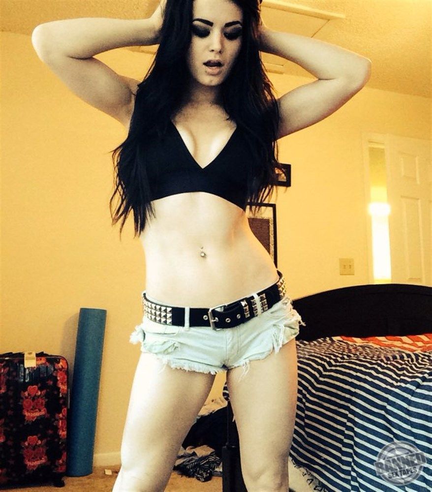 Wwe Paige Fakes