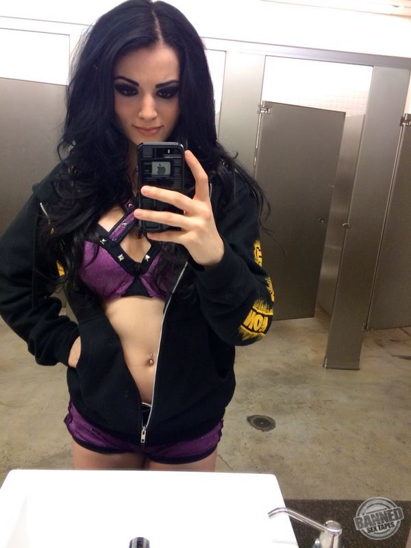 Wwe Paige Fakes