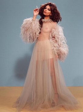 Emily Ratajkowski See Through (14 Pics + Video)