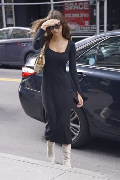 Emily Ratajkowski Sexy (20 Hot Photos)