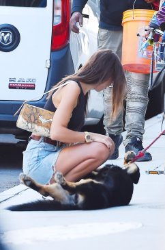 Emily Ratajkowski Sexy (32 Photos)