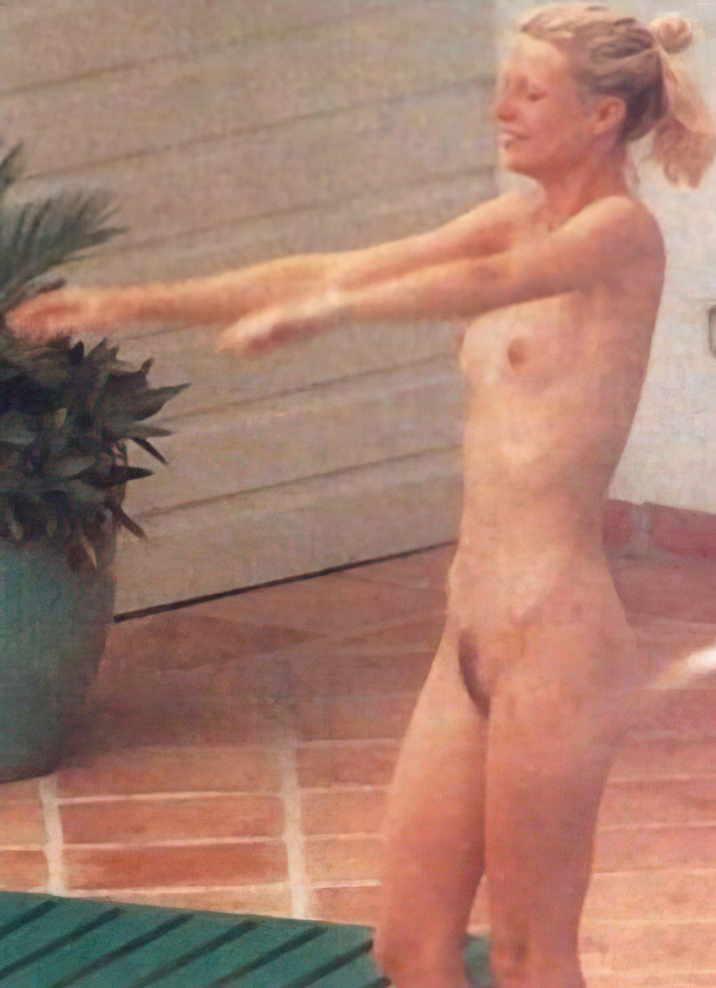 Gwyneth Paltrow Nude 0011