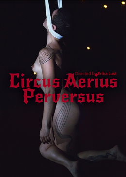 XConfessions by Erika Lust, Circus Aerius Perversus