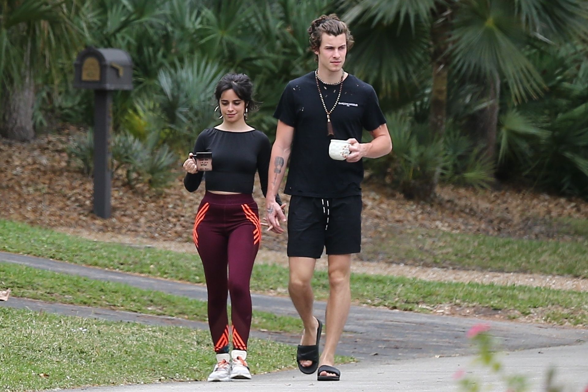 Camila Cabello & Shawn Mendes Hold Hands During A Morning Walk In Miami 0003
