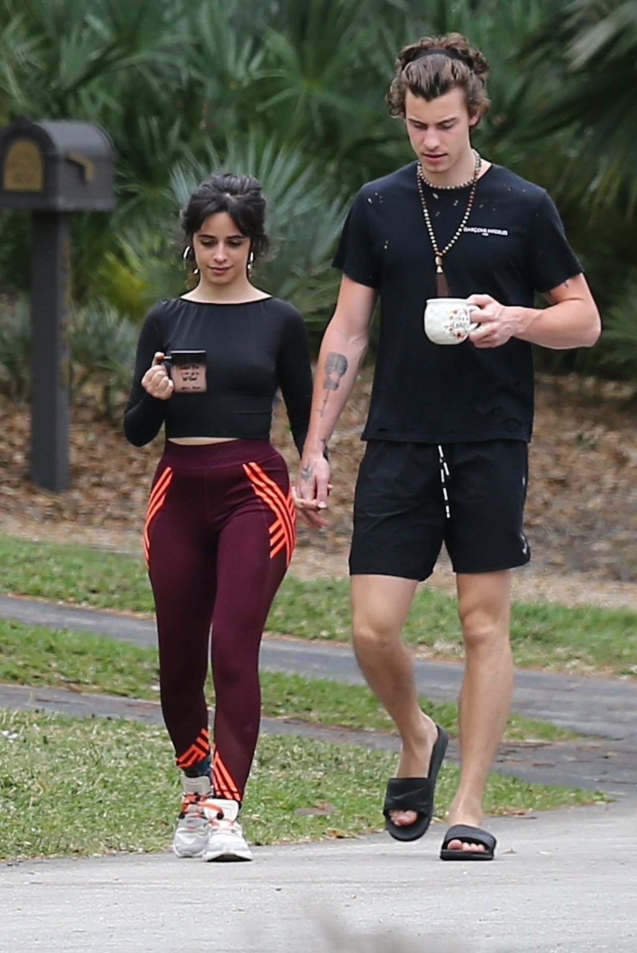 Camila Cabello & Shawn Mendes Hold Hands During A Morning Walk In Miami 0004