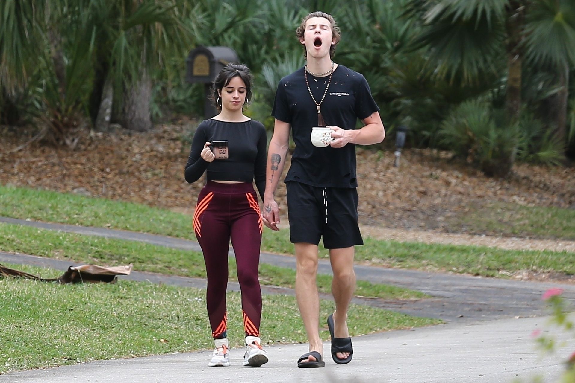 Camila Cabello & Shawn Mendes Hold Hands During A Morning Walk In Miami 0014