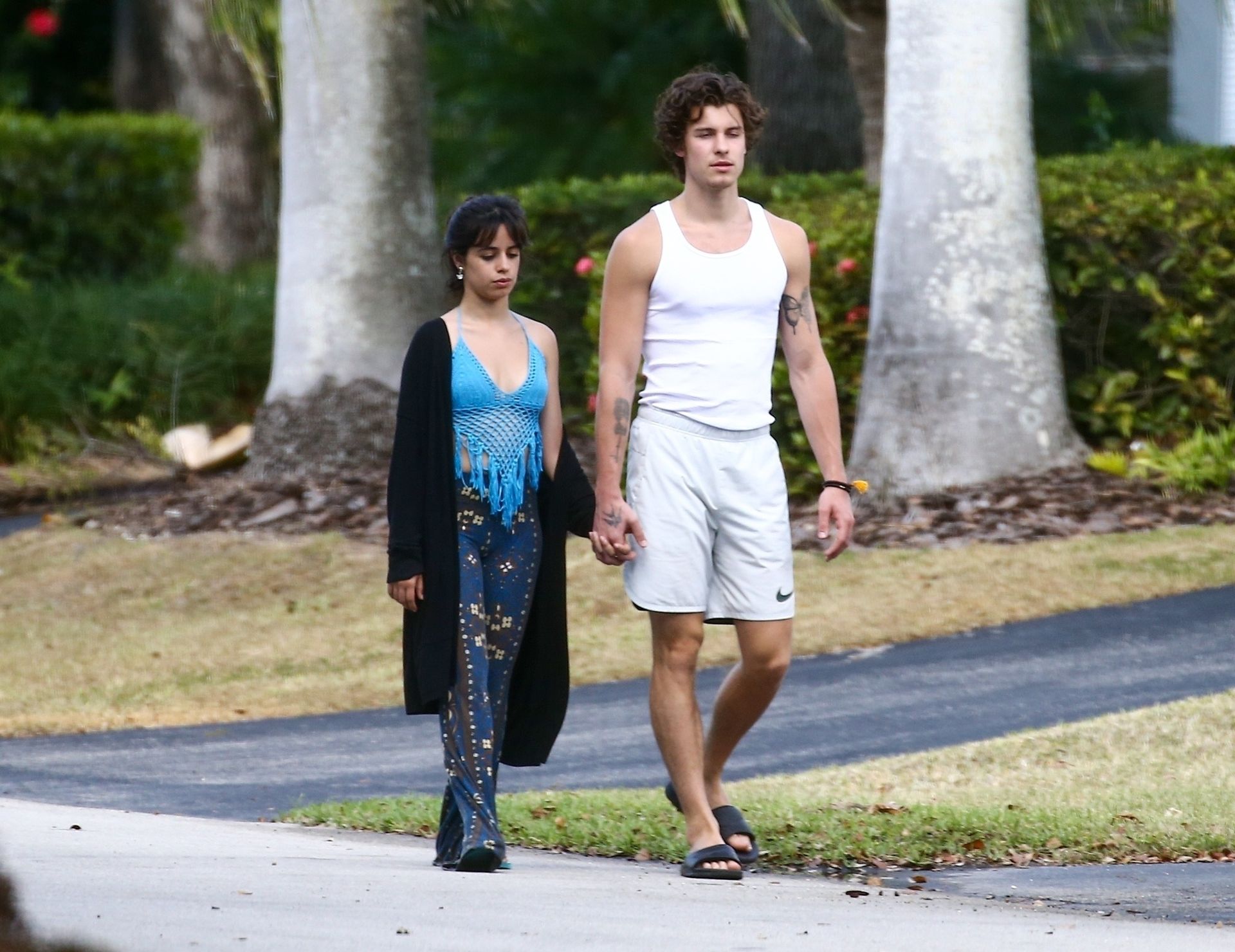 Camila Cabello & Shawn Mendes Take A Morning Walk 0016
