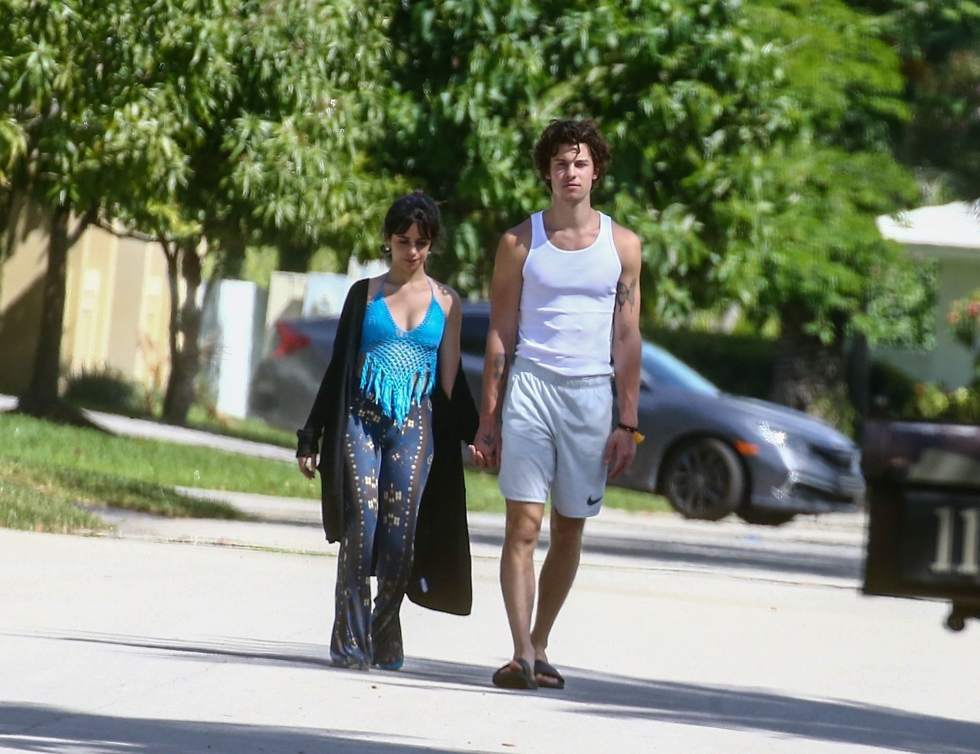 Camila Cabello & Shawn Mendes Take A Morning Walk 0017