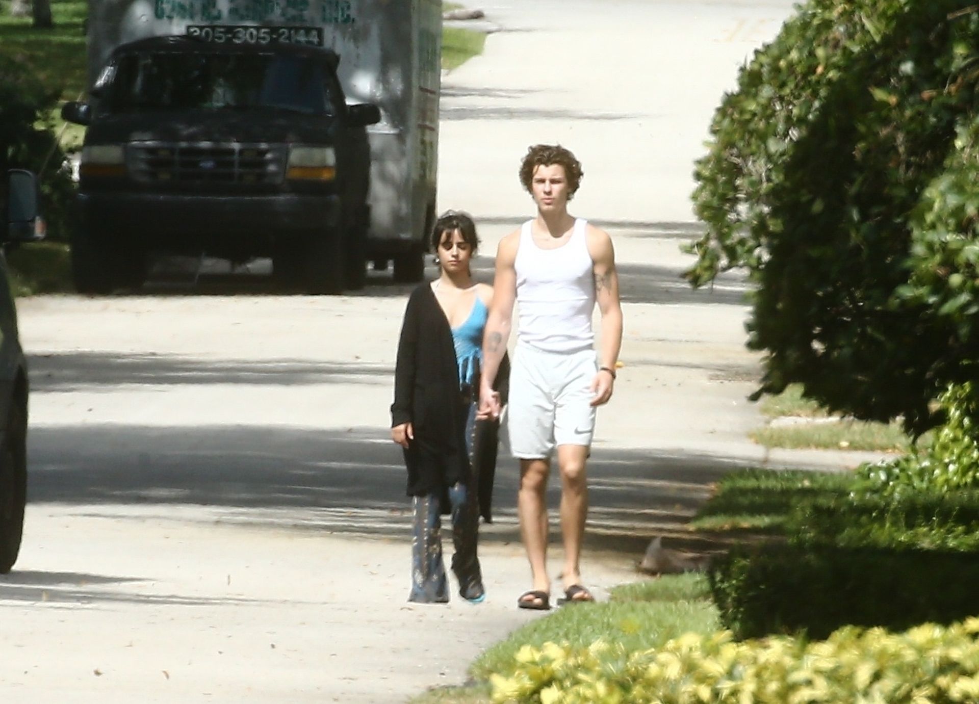 Camila Cabello & Shawn Mendes Take A Morning Walk 0030