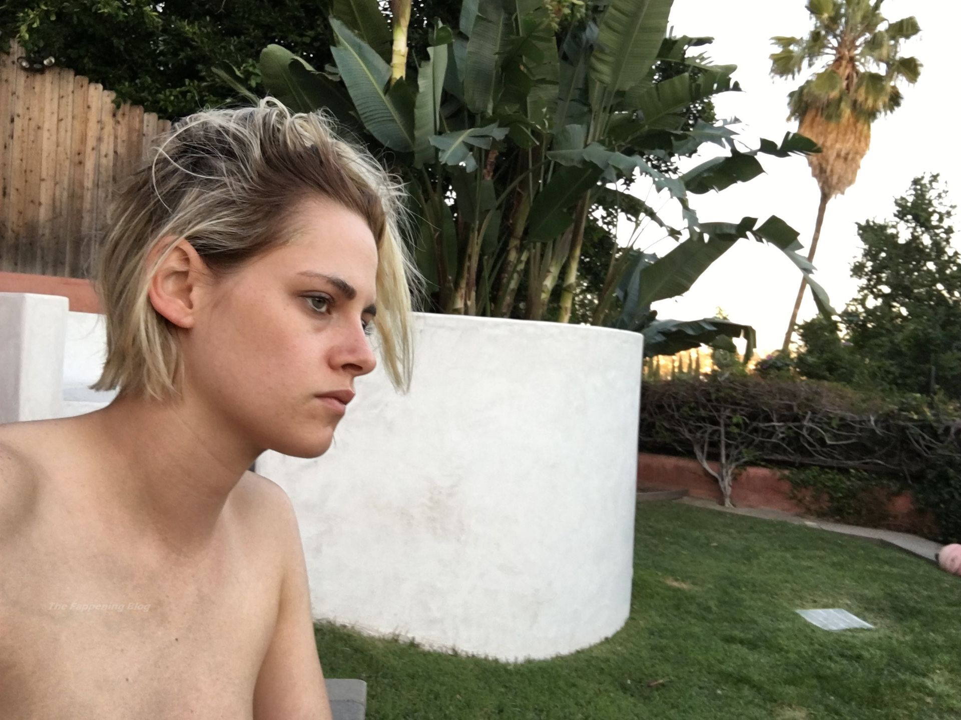 Kristen stewart nude leaked