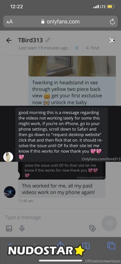 Mizz Twerksum, theofficialmizztwerksum, OnlyFans Leaks (17 Photos